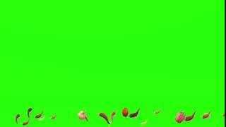 Green Screen Clips - Subtitles Chilli Roller with vegetables
