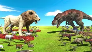 King Of The Jungle VS King Of Dinosaur - Dinosaurs VS Animals