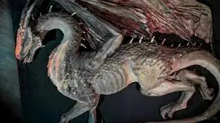 Konspirační teorie - záhadná videa 17