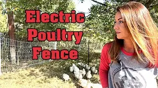 Pastured Poultry Electric Fencing & Management. Why We Do It This Way 