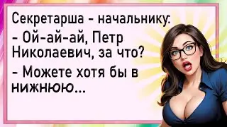 Как начальник секретаршу воспитывал! Сборник свежих анекдотов! Юмор!