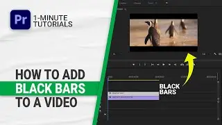 How To Add Black Bars To a Video in Adobe Premiere Pro