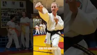 Работа перемещений в стойках на лесенке. Asai Ryu karatedo. 