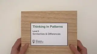 Similarities and Differences