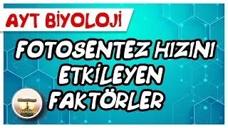 AYT Biyoloji | Fotosentez Hızını Etkileyen Faktörler 