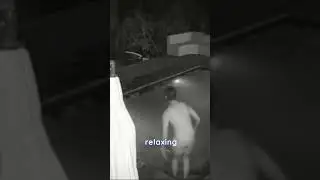 Jaw-Dropping Video🐊 Alligator's Terrifying Pool Invasion with Unsuspecting Couple! #shorts #creepy