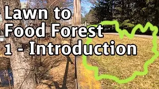 Lawn to Food Forest - 1 - Introduction