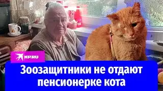 Зоозащитники не отдают пенсионерке кота