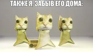 Я: впервые делаю домашнее задание