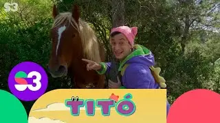 Excursió amb cavalls - Titó