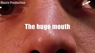 The huge mouth (preview)