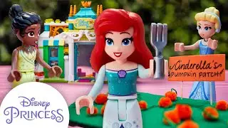 Ariels Missing Dinglehopper | Disney Princess Club