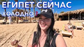 Египет 2024. ОБАЛДЕННЫЙ ПЛЯЖ‼️Sindbad Club 4*. МОРЕ ПОГОДА Сервис Питание. Хургада сейчас