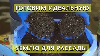 Такую землю для рассады делают лучшие органические хозяйства.  Делаем сами почвосмесь для рассады.