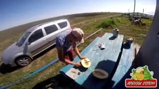 Дыня раймонд 11 08 2015