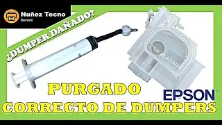 ✅ COMO PURGAR CORRECTAMENTE LOS DUMPER 🖨️Impresoras Epson EcoTank