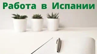 Работа за границей для украинских беженцев. Испания, Валенсия