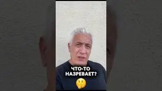 Наблюдения на 03.08.24   Павел Дартс