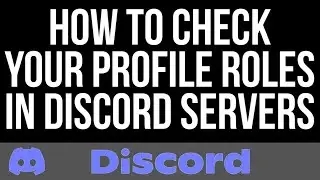 How to check your profile roles on Discord servers