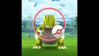 A totally normal Groudon video ;)