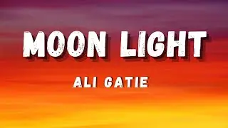 Ali Gatie - Moon Light (Remix)