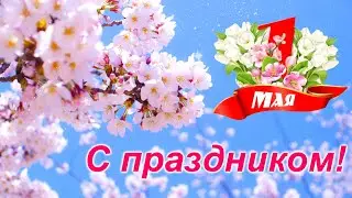 С праздником 1 Мая! Музыкальная открытка.