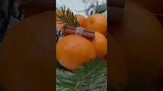 С Наступающим Новым годом 2024! Мандаринового новогоднего настроения🍊 #shorts