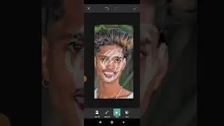 Top 10 Easy Ways to Edit Your Photos With PicMonkey