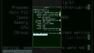 Linux Commands in 60 Seconds - The systemctl Command