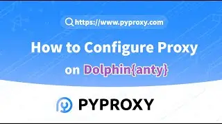 How to Configure Proxy on Dolphin{anty}?#proxy #socks