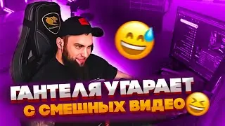 ВЛАД ГАНТЕЛЯ УГАРАЕТ С СМЕШНЫХ МЕМОВ И ПРИКОЛОВ