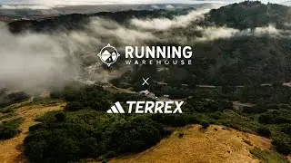 adidas Terrex Agravic Line - The Perfect Trail Shoe for Every Runner