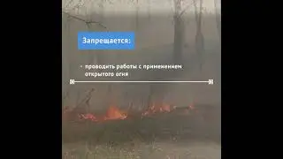 C 24 апреля по 15 мая в Новосибирской области действует особый противопожарный режим.