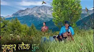 सुमधुर नेपाली लोकगित को धुन पिर || nepali melodious folk music || nepali lok geet ko dhun