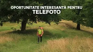 Fotografie de Peisaj in Padure | Oportunitate interensanta pentru Telefoto