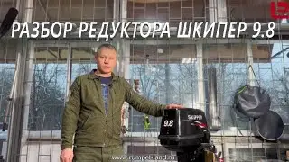 Шкипер 9.8 с электростартером | эмульсия в редукторе спустя 20 м запуска в бочке | разбор редуктора
