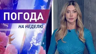 Погода на неделю 12-18 июня 2023. Прогноз погоды. Беларусь | Метеогид