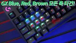 로지텍 G PRO X 기계식 키보드 스위치 교체와 청축, 적축, 갈축 타건 소리 ASMR!