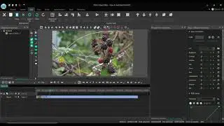 How To Add Text Into Video On VSDC Free Video Editor