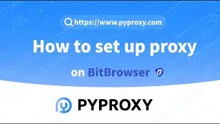 PYPROXY|How to set up proxy on BitBrowser?