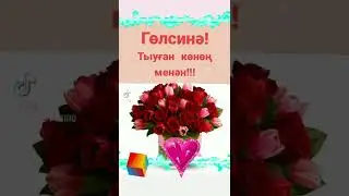 Гөлсинә! тыуған көнөң менән ҡотлайым!