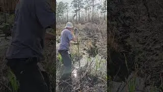 Pole vaulting with a bamboo staff.