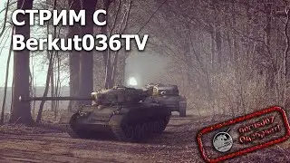 Стрим: воскресный стрим с блогером  Berkut036TV