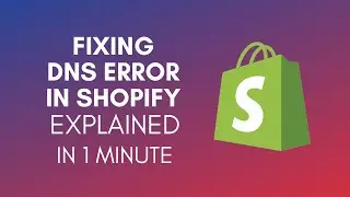 How To Fix DNS Error Shopify In 2024?