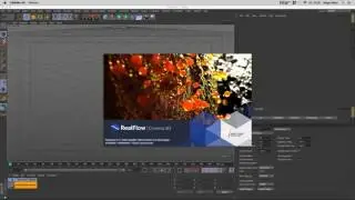 RealFlow for Cinema 4D-  A great new Workflow for Fluid Simulations