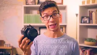 Canon 6D Mark ii vs Canon 5D mark iii / Sony a7 mark ii