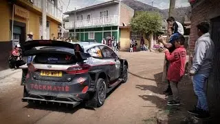 Day 4 - Rally Mexico 2017 - L. Bertelli / S. Scattolin - Ford Fiesta WRC+