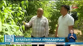 Қызылордалық тұрғын көпқабатты үйдің ауласын баққа айналдырды