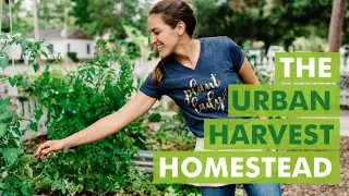 Tour of The Urban Harvest Homestead