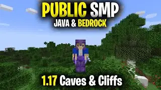 Public Minecraft SMP Server for Java & Bedrock *LIVE* 1.17.1 (Free to Join)